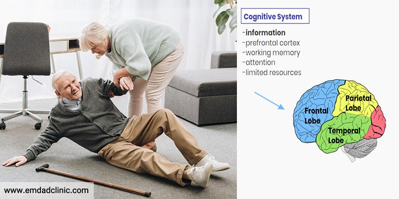 نقش کارکردهای شناختی در سقوط یا افتادن در سالمندان